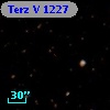 Terz V 1227