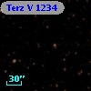 Terz V 1234