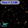 Terz V 1240