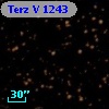 Terz V 1243