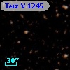 Terz V 1245