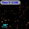 Terz V 1248