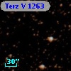 Terz V 1263