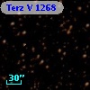 Terz V 1268