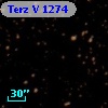Terz V 1274