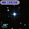 HD 239239