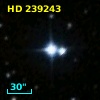 HD 239243