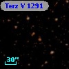Terz V 1291