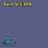 Terz V 1309