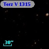 Terz V 1315