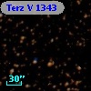 Terz V 1343