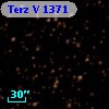 Terz V 1371