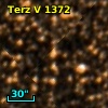 Terz V 1372