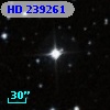 HD 239261