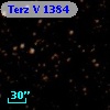 Terz V 1384