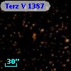 Terz V 1387
