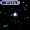 HD 239275