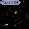 Terz V 1425