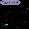 Terz V 1445