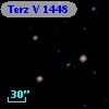 Terz V 1448