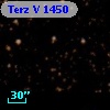 Terz V 1450