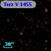 Terz V 1455