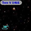 Terz V 1466