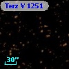 Terz V 1251