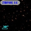 [TBF80] 11