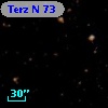 Terz N   73
