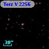 Terz V 2256