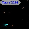 Terz V 2286