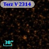 Terz V 2314