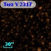 Terz V 2317