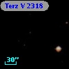 Terz V 2318