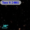 Terz V 2401