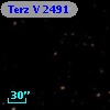 Terz V 2491