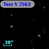 Terz V 2563