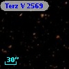 Terz V 2569