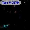 Terz V 2579