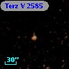 Terz V 2585