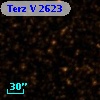 Terz V 2623