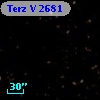 Terz V 2681