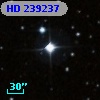 HD 239237