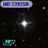 HD 239250