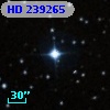 HD 239265