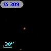 SS 309