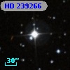 HD 239266