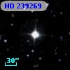 HD 239269