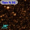 Terz N   91